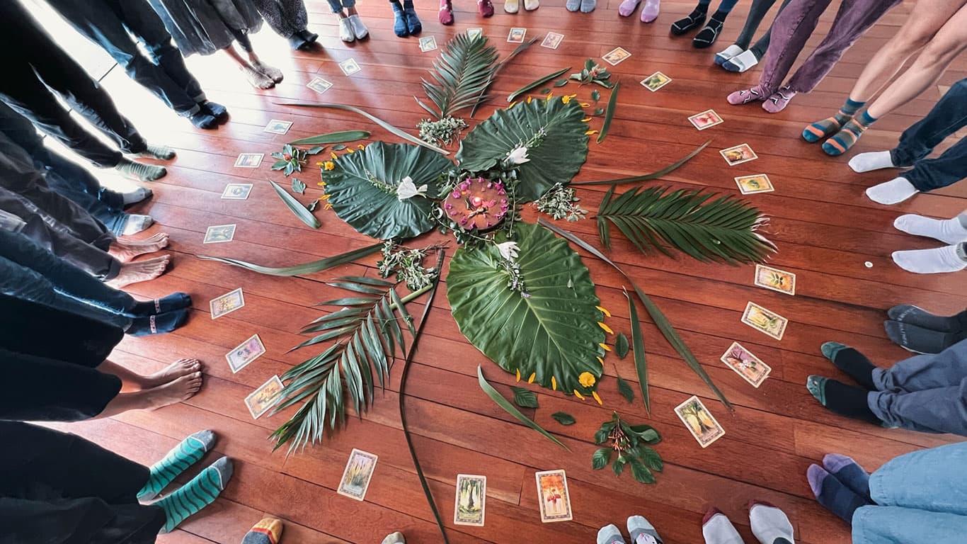 Comunidad Ecotonos